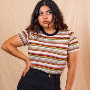 Big Bud Press Swap Meet Stripe Tee in Retro Rainbow, Unisex Small